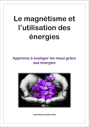 Download LE MAGNÉTISME ET L' UTILISATION DES ÉNERGIES: Apprenez à soulager les maux grâce aux énergies PDF