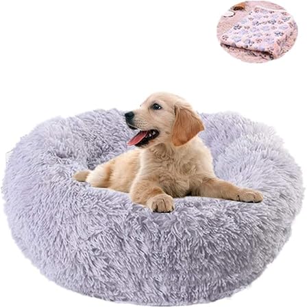 calming bed for dogs amazon