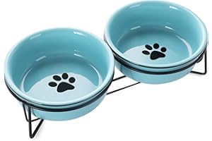 GDCZ Ceramics Raised Cat Bowls with Heighten Metal Stand,15 Ounces Turquoise