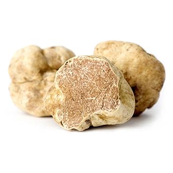 Image result for white italian truffle mushroom