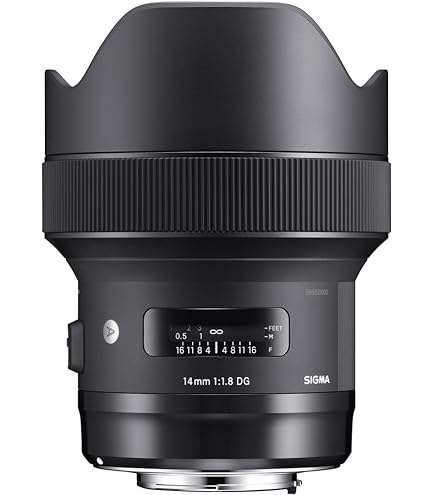 Amazon.com : Sigma 14-24mm F2.8 DG HSM, Black (212955) for Nikon