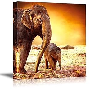 Elephant Family on a Barren Desert with Gorgeous...