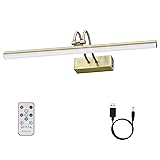 RAIFOOLLY Picture Light,Wireless Art Lights for