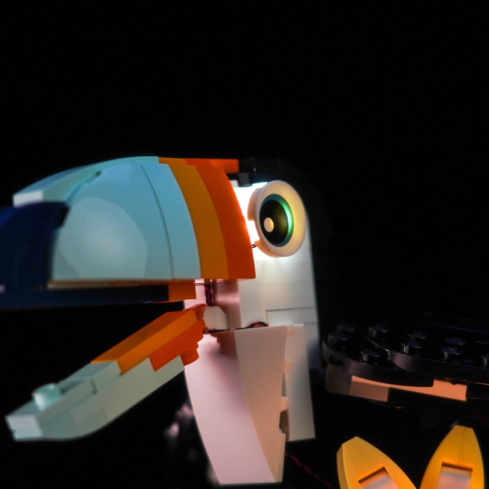 Led Licht Set Kompatibel mit Lego Wild Animals: Tropical Toucan 31173 (Kein Modell), Dekorationsbeleuchtungsset Compatible with Lego 31173 Wild Animals: Tropical Toucan Kreative Spielzeug 6
