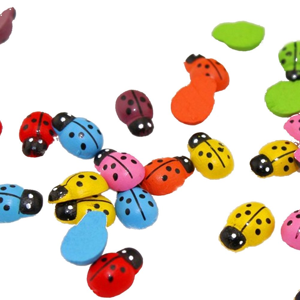 Best ladybugs fairy garden