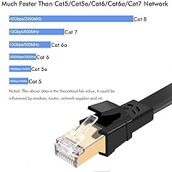 Cat8 Ethernet Cable, Outdoor&Indoor, 10 FT Heavy