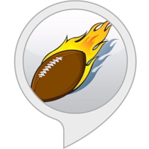 Fantasy flash briefing