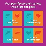 Whiskas Duo Adult Wet Cat Food in Jelly 12x85g Surf & Turf Pack of 4 view 5