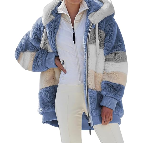 Dgoopd Women's Winter Jacket - Fleece Lined Hooded Sherpa Jacket, Button Down, Warm Casual Coat