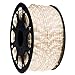 WYZworks 150 feet Warm White LED Extendable Rope Lights for Accent Holiday Christmas Xmas Tree Party Decoration Lighting | ETL Safety Certified - 10, 25, 50, 100, 150, 300 ft