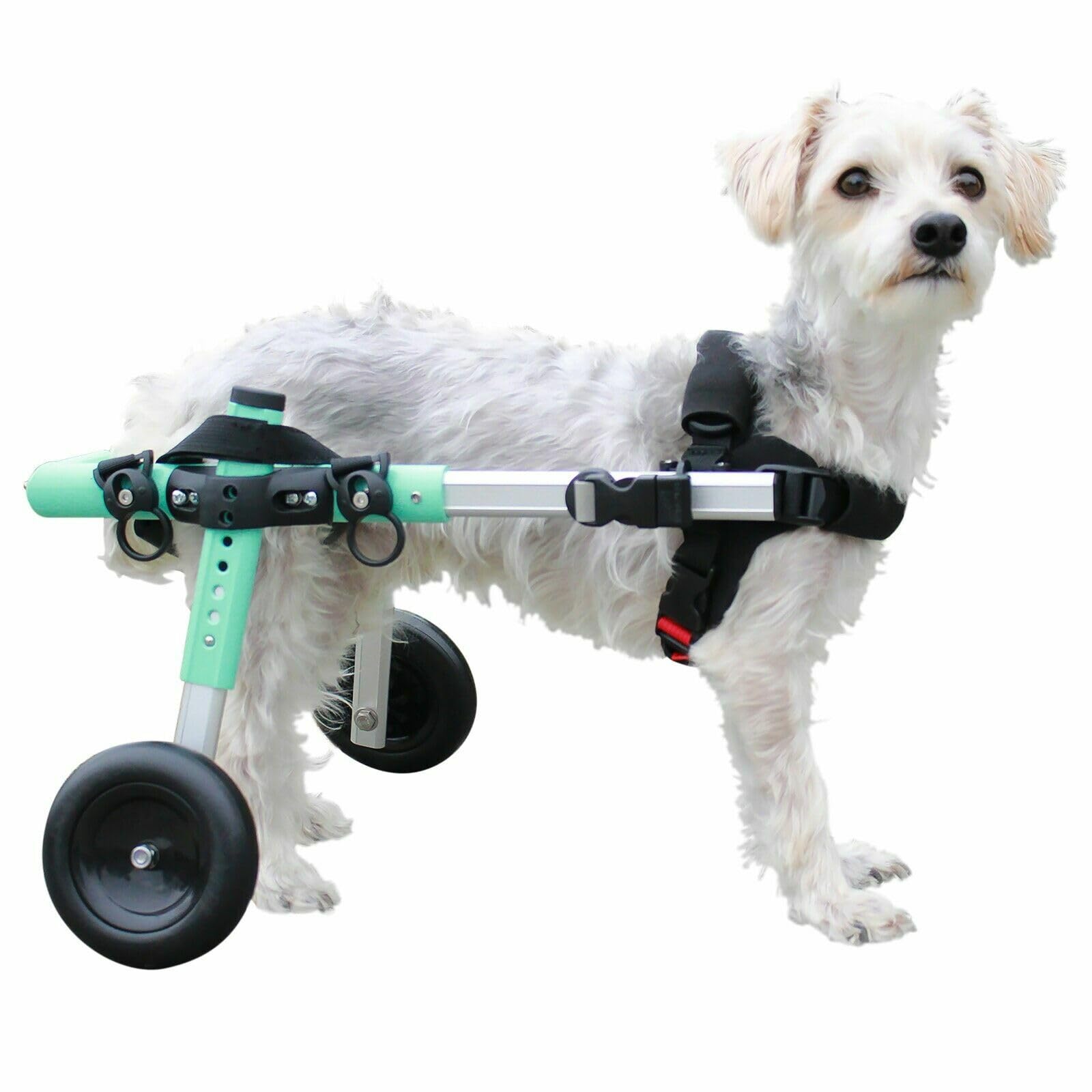 Walkin' Wheels Small Dog Wheelchair, Lightweight Dog Wheelchair For