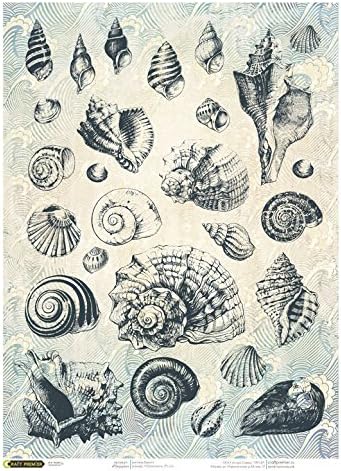 Rice Paper for decoupage~ 11,1 x 15,11 inches. Made in Russia (Seashells)