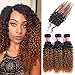 Alisfeel Ombre Kinky Curly Hair with Closure Grade 8A Brazilian Virgin Curly Hair Extensions with 4x4 Free Part Lace Closure Human Hair 1B/30# Color (18 20 22+16)