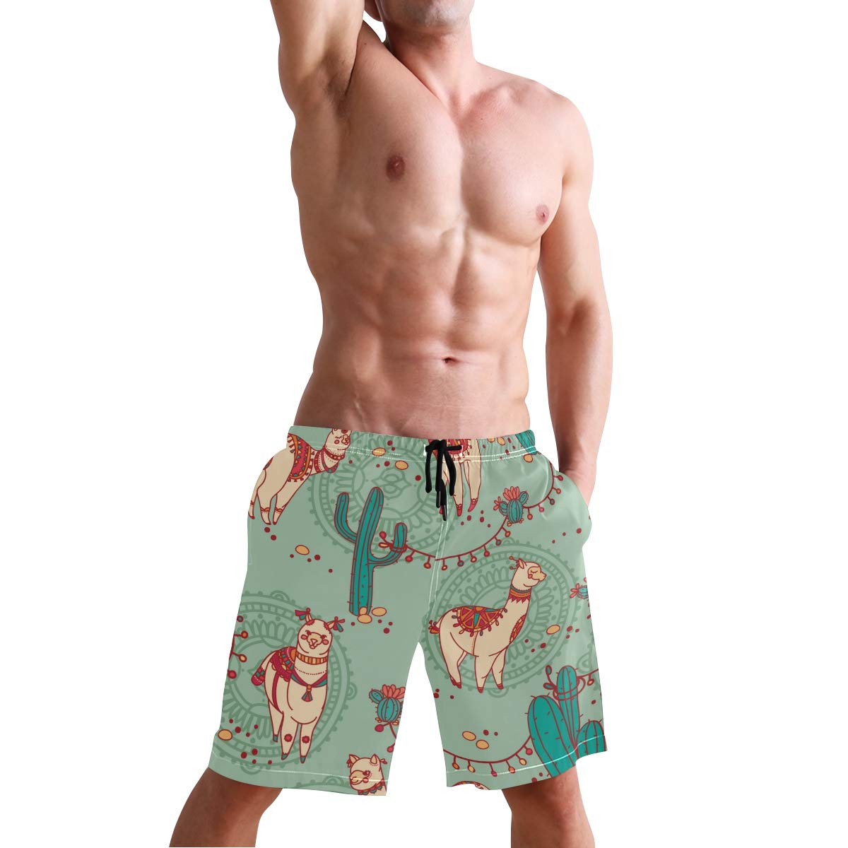 doggy swim trunks