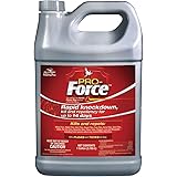 Amazon Com Gordon S Horse Pony Spray 1 Gallon 7681072 Garden Outdoor Amazon Com Gordon S Horse Pony Spray 1 Gallon 7681072 Garden Outdoor