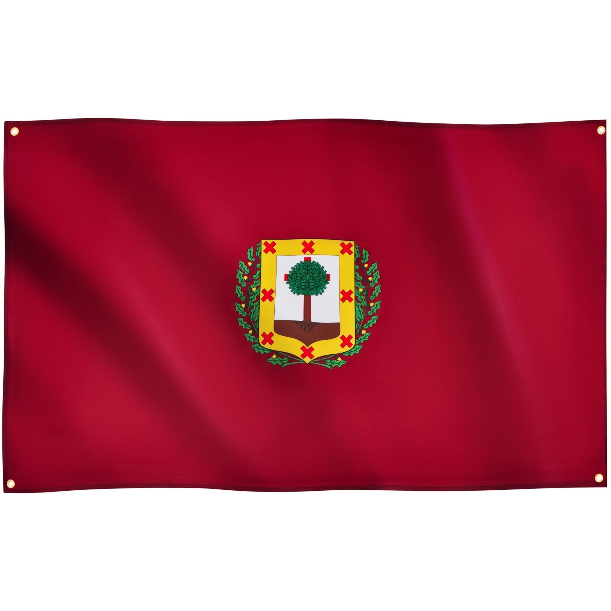 Runesol Vizcaya Flag, 91x152cm, 3ft x 5ft, 4 Grommets, Eyelet In Every Corner, Spanish Regional Flag, Biscay, Bizkaia Flag,Premium Flags, Inside, Outside, Banner, Vivid Colours — image 1