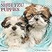 Just Shih Tzu Puppies 2017 Wall Calendar