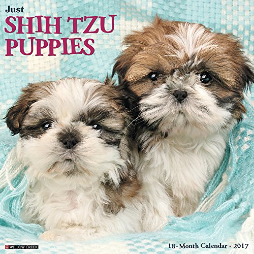 Just Shih Tzu Puppies 2017 Wall Calendar (Dog Breed Calendars)