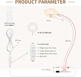 iZELL LED Desk Lamp with USB Adapter 3 Color Modes 10 Brightness 40cm Arm view 6