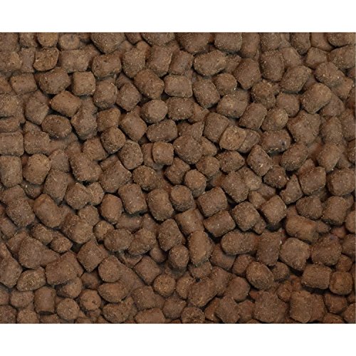 WYSONG FERRET EPIGEN 90 DIGESTIVE SUPPORT – DRY FERRET FOOD – 5 POUND BAG(PACK OF 1)