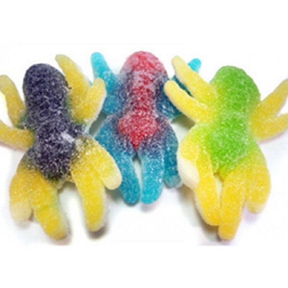 Giant Sour Gummy Creepy Spiders Candy 1LB Bag Grocery