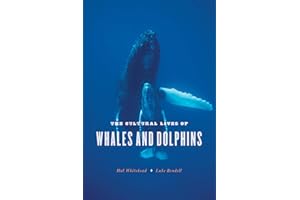 The Cultural Lives of Whales and Dolphins
