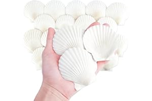 Mkobon 20 PCS Natural Scallop Shells for Crafts, 3 Inch White Seashell Decor for Home, Sea Shells for Decorating, DIY, Painting, Baking, Beach Wedding Decorations