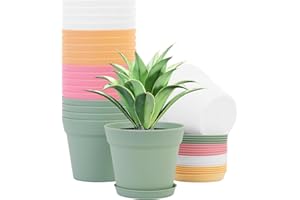 GARDIFE 20 Pack 6 inch Plant pots, planters for Indoor Plants, Flower pots, Color