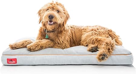 shredded memory foam dog bed