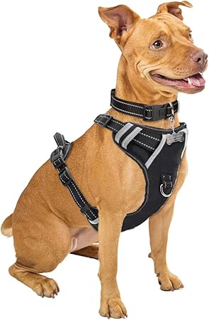 extra secure dog harness