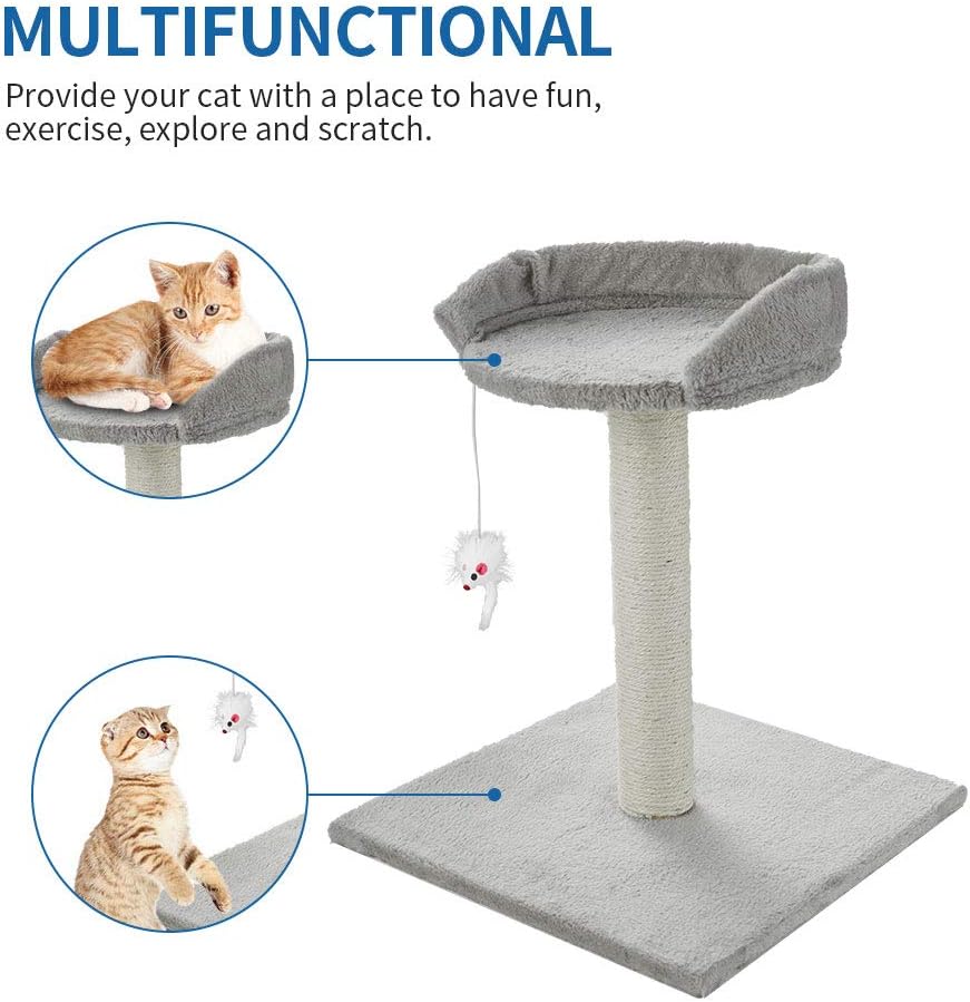 ScratchMe Tree Condo with Scratching Post : Pet Supplies