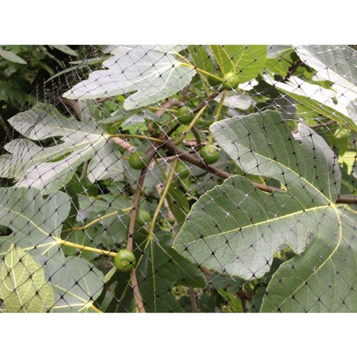 Hanes Geo Components 46238 Heavy Duty Multi-Purpose Outdoor Deer Netting, 5-Feet x 100-Feet - Green
