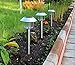 Vitallika Solar Garden Lights (6 Pack), STAINLESS STEEL with Large Plastic Spike, No Wires Needed, Waterproof for Outdoor Landscape Pathway Lighting