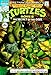 Teenage Mutant Ninja Turtles Movie II the Secret of the Ooze Comic Summer 1991 (Summer 1991) by 