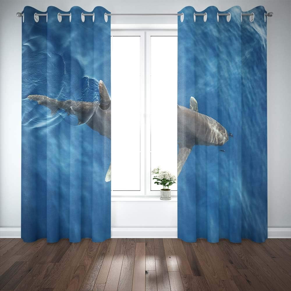 Shorping Window Curtains, Window Panels Sliding Blackout Curtains Shark Fin in Water Gray Reef on Sea Surface White Tip Underwater Watching Country Shower Curtain for Bedroom 52X63 Inches,2 Pc