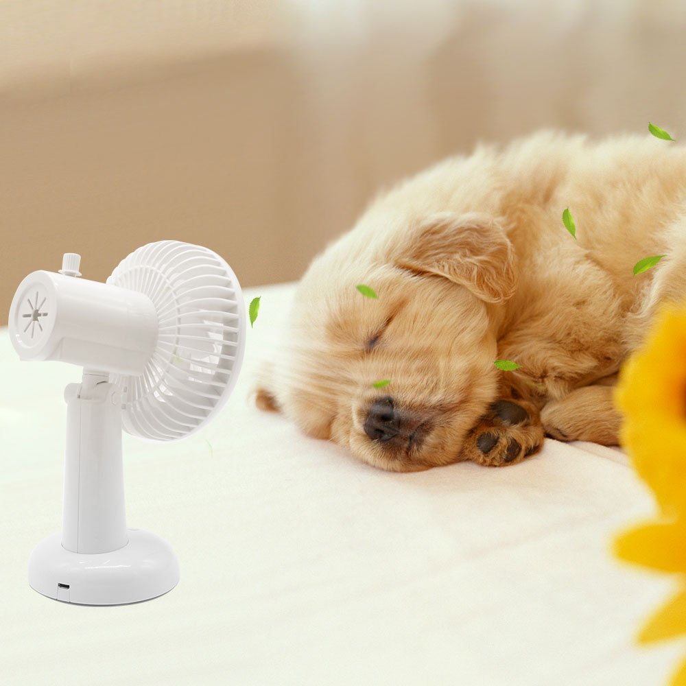 Disifen Desk Fan, Rechargeable USB Fan, 2 Speed Mini Personal Desktop Fan for Home Office Library Outdoor.(White)