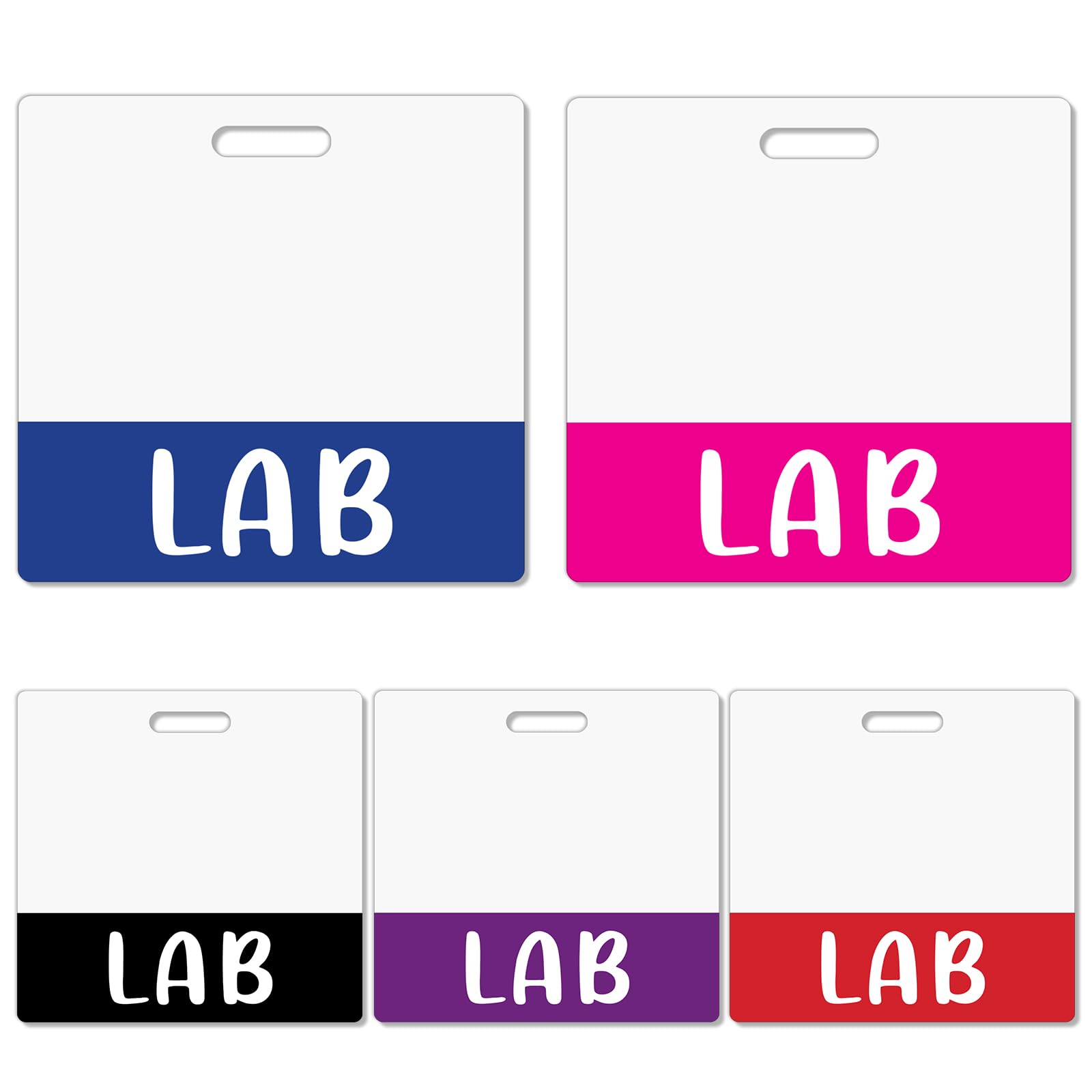 Besoar 5 Pack LAB Badge Buddy Card Holder