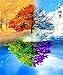 TSING DIY Crystals Paint Kit 5D Diamond Painting by Number Kits,Four Season Trees-16''W19''L