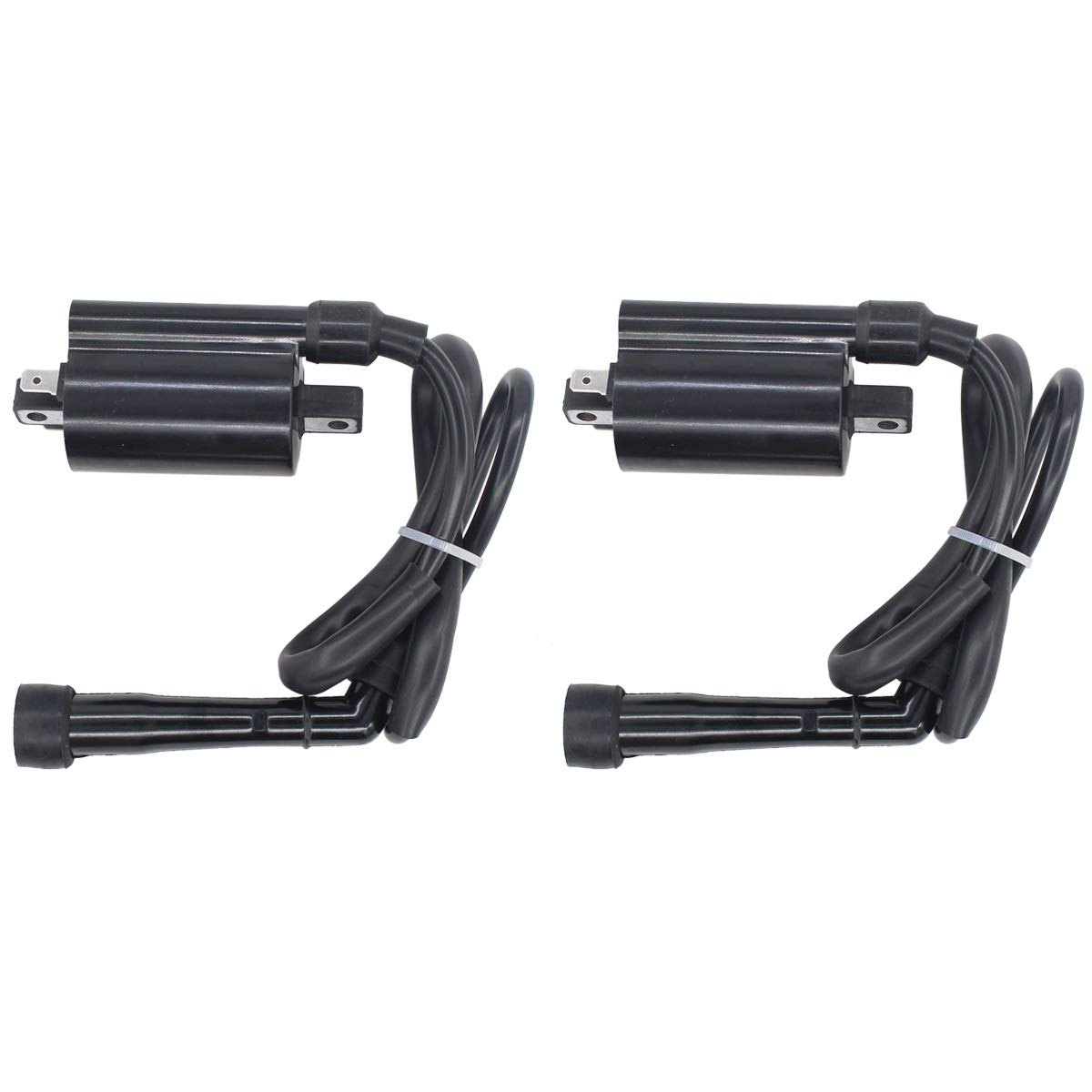 Best 09 Ninja 250 Coil