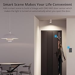 SONOFF Smart Switch, WiFi Light Switch, Alexa