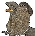 Incredible Creatures- Frilled Lizard