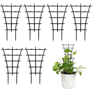 self watering pots for indoor plants US(CA)-Plug / Standard LetPot MP1