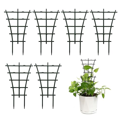 Feitore Plant Trellis Indoor, 6Pcs Stackable Plant Trellis for Climbing  Plants Indoor, Small Plant Climbing Trellis for Potted Plants Plastic Climbing  Plant Support Trellis for Houseplant Hoya Pothos in Saudi Arabia |