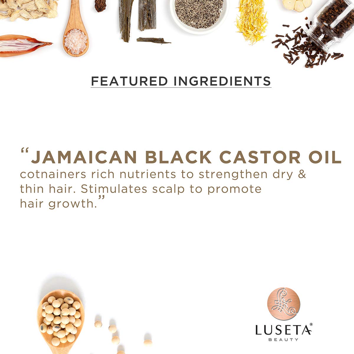 Luseta Jamaican Black Castor Oil Shampoo and Conditioner Strengthening for Thinning and Dry Hair with Natural Ingredients Nourish Hair Scalp Sulfate Free