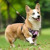 rabbitgoo Dog Harness Medium No Pull Front & Back Clips Reflective Pink view 9