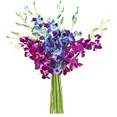 KaBloom-10 Blue&amp;Purple Orchid Bouquet,Flowers for Valentine, Mother's Day