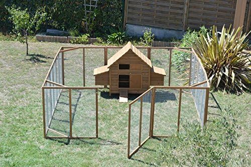 Poulailler 2 à 5 Poules Enclos Amazonfr Animalerie