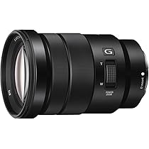Amazon.com : Sony SELP18105G E PZ 18-105mm F4 G OSS , Black 