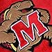 Fabrique Innovations NCAA Pillow Pet, Maryland Terrapins