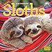 Sloths Wall Calendar 2018 by